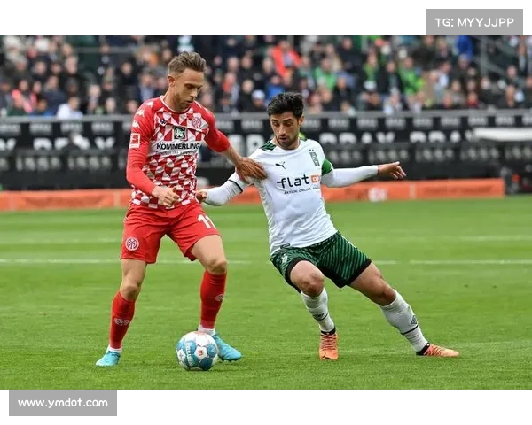 全面解析德甲直播平台选择与使用技巧，畅享顶级赛事直播体验