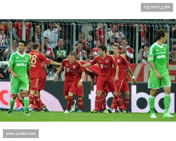 全面解析德甲直播平台选择与使用技巧，畅享顶级赛事直播体验